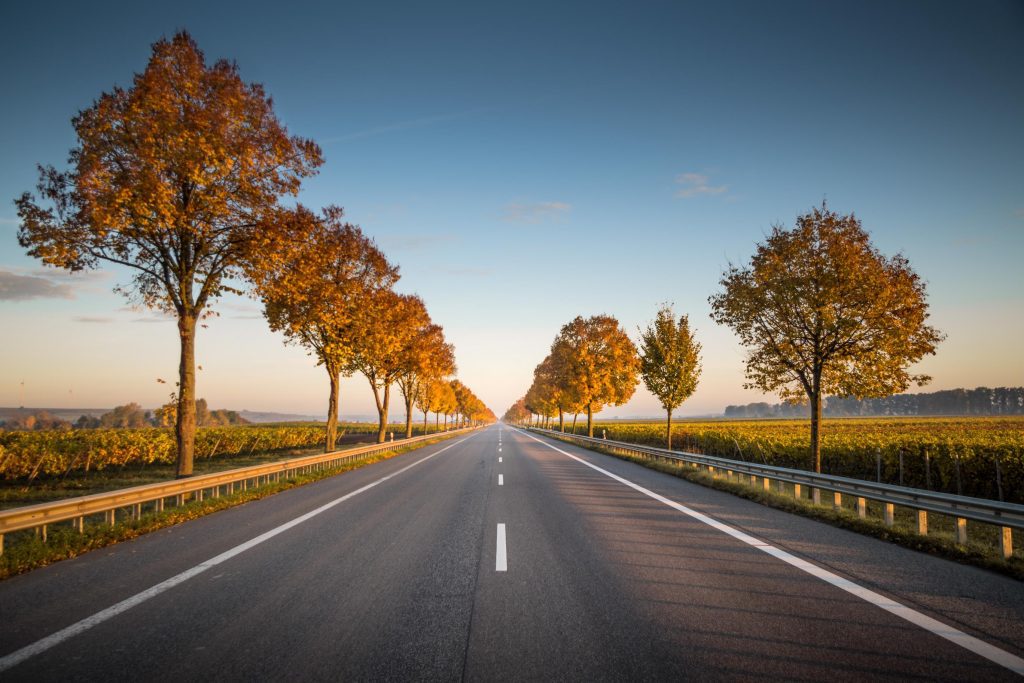 Asphalt Maintence and Repair